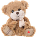 Plush teddy bear with a heart on a white background