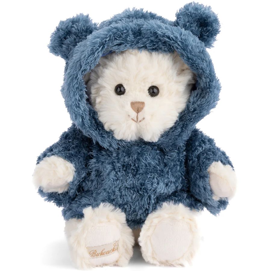 Stuffed teddy bear in a blue hooded outfit on a white background
