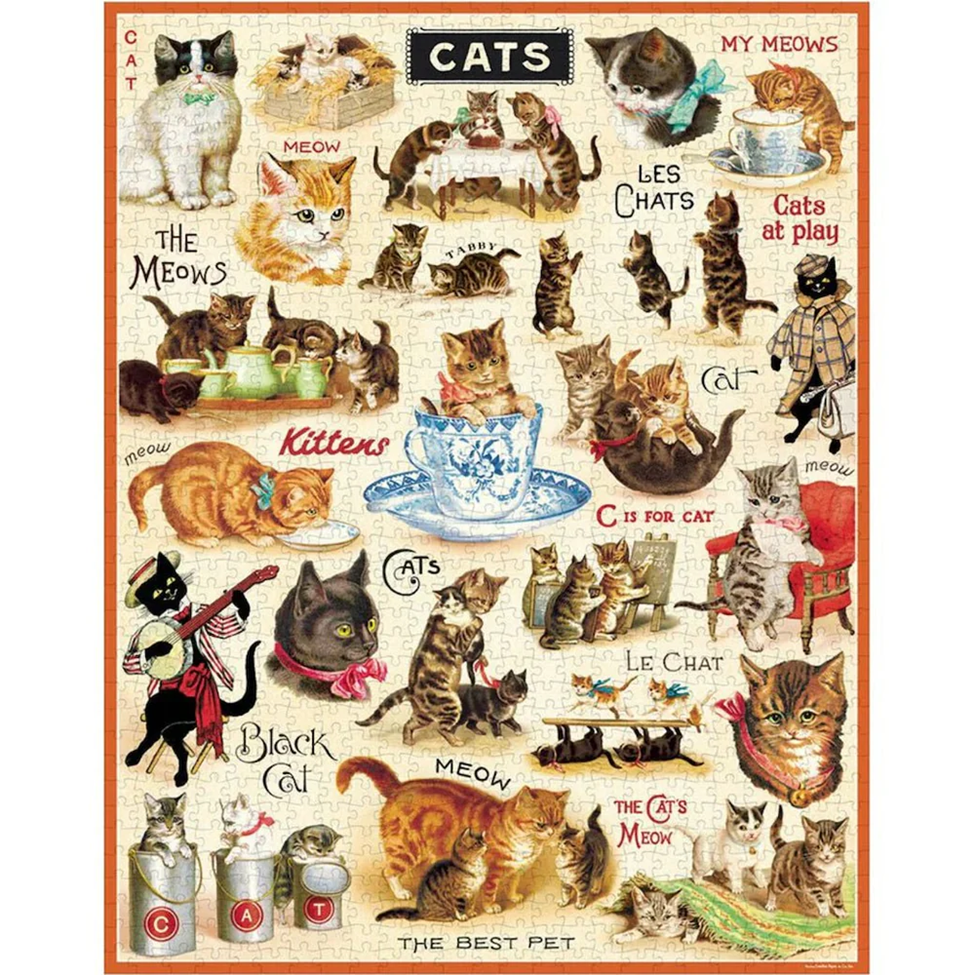 Illustration of various cats in different poses and activities with text labels.