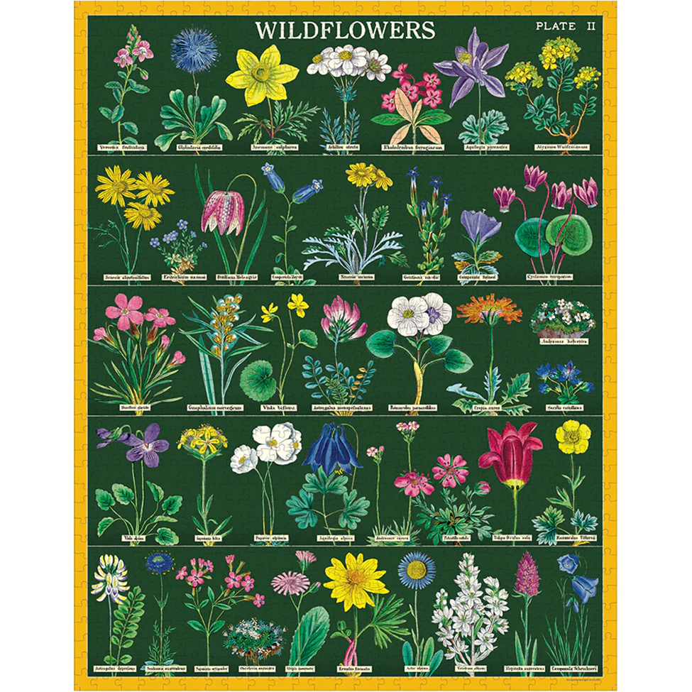 Poster of wildflowers with colorful illustrations on a green background