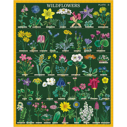 Poster of wildflowers with colorful illustrations on a green background