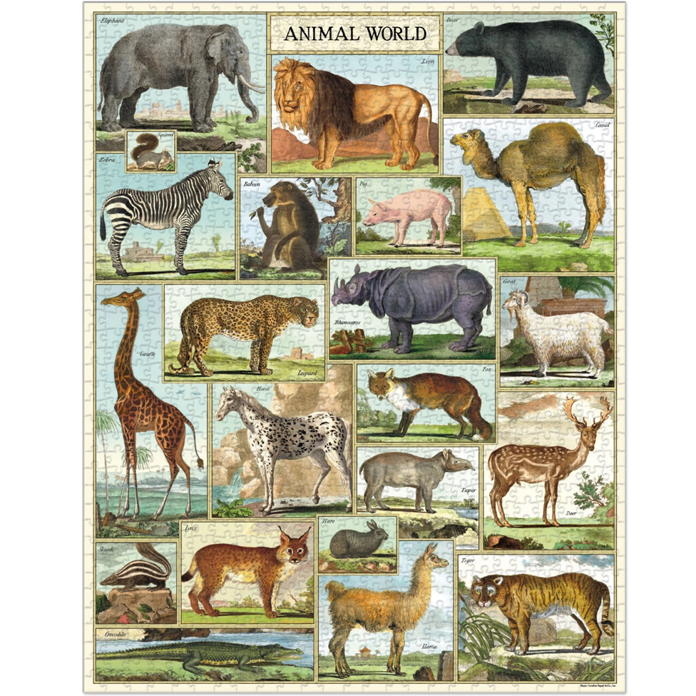 Collage of various animals with a 'Animal World' title at the top.