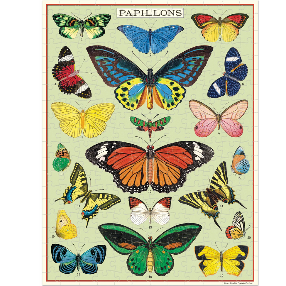 Illustration of various butterflies with the word 'Papillons' at the top.
