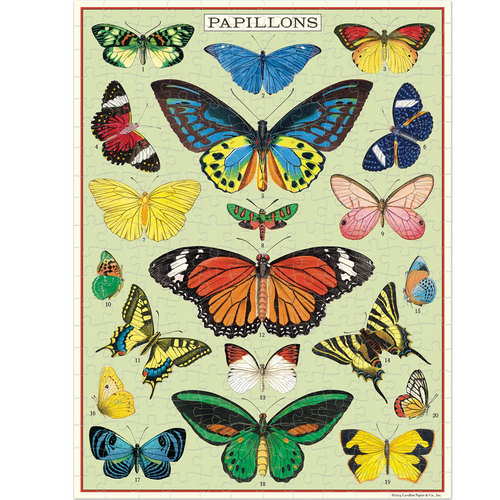 Illustration of various butterflies with the word 'Papillons' at the top.