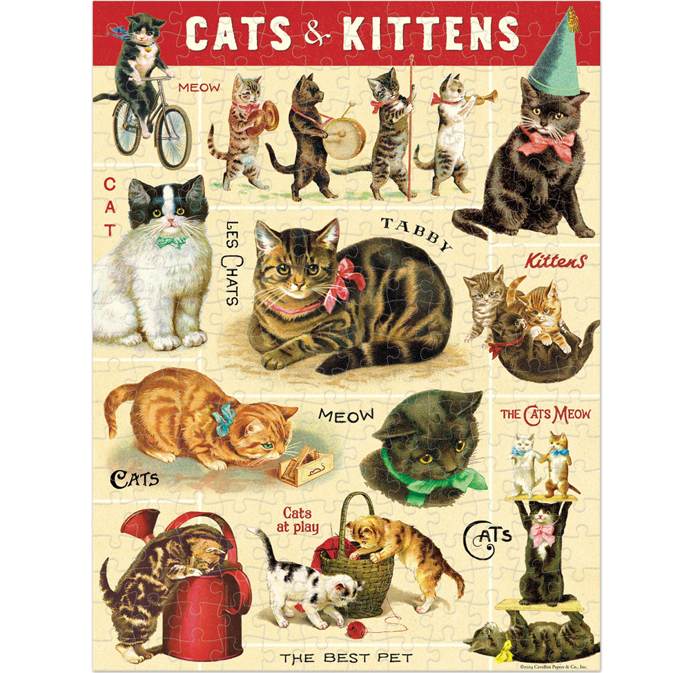 Illustration of cats and kittens with various poses and accessories on a puzzle.