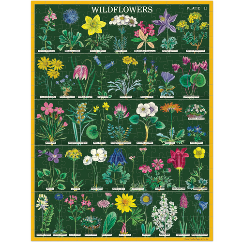 Poster of wildflowers with labels on a green background