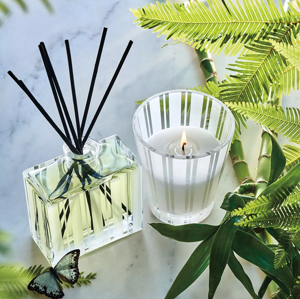 Diffuser with reeds, lit candle, and green leaves on a light background