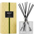 NEST New York grapefruit diffuser with packaging