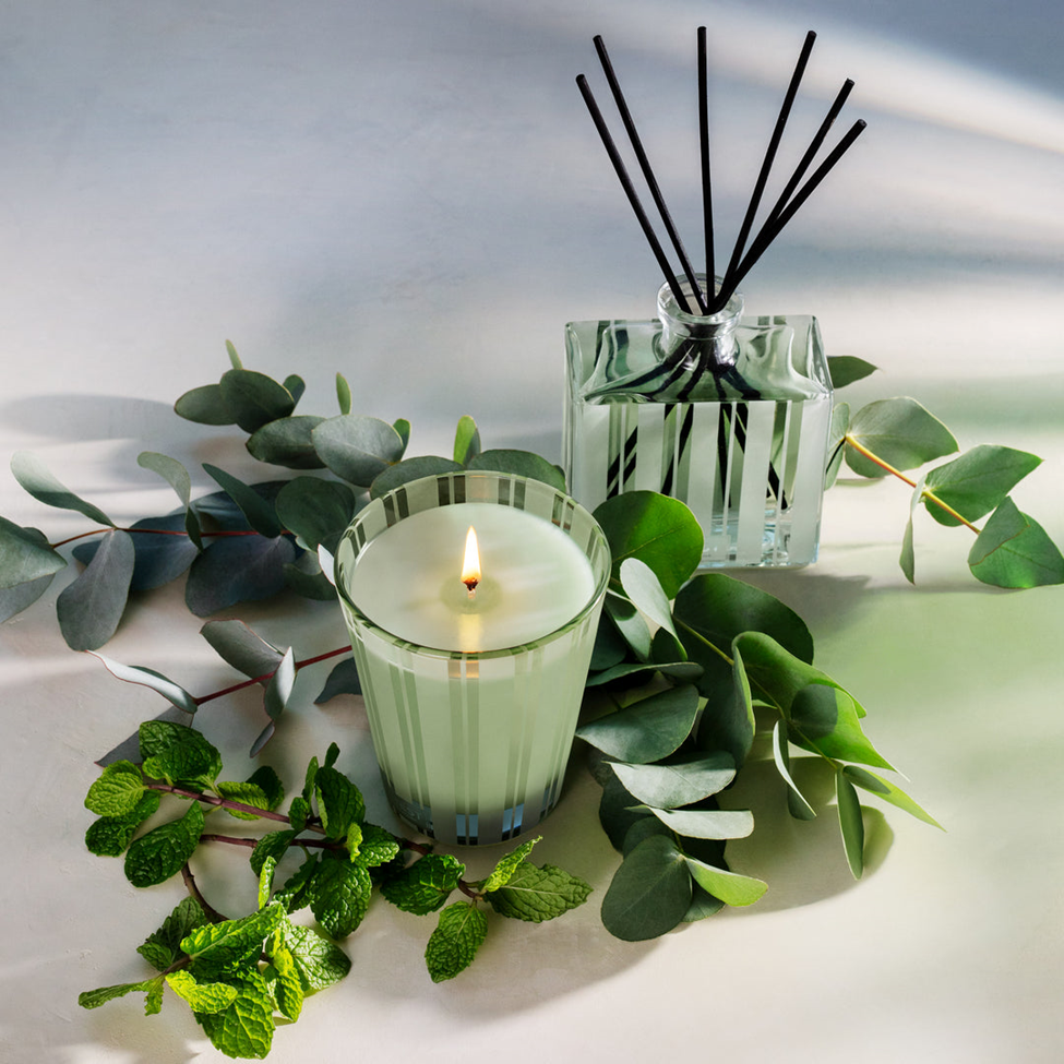 Candle and diffuser with eucalyptus leaves on a light background