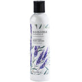 Sonoma Lavender Co. lavender body lotion bottle on a white background