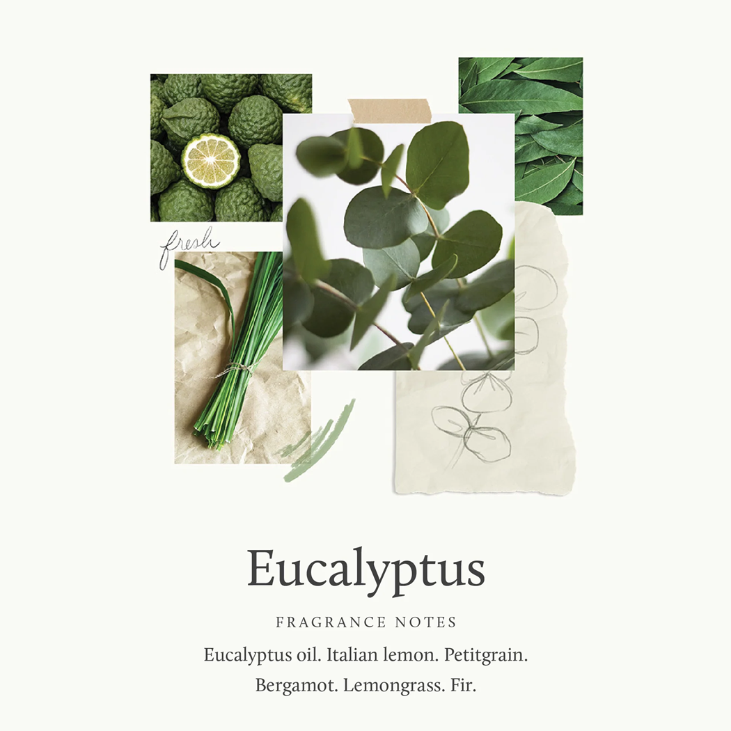 Collage of eucalyptus leaves and lemon on a white background with text about fragrance notes.