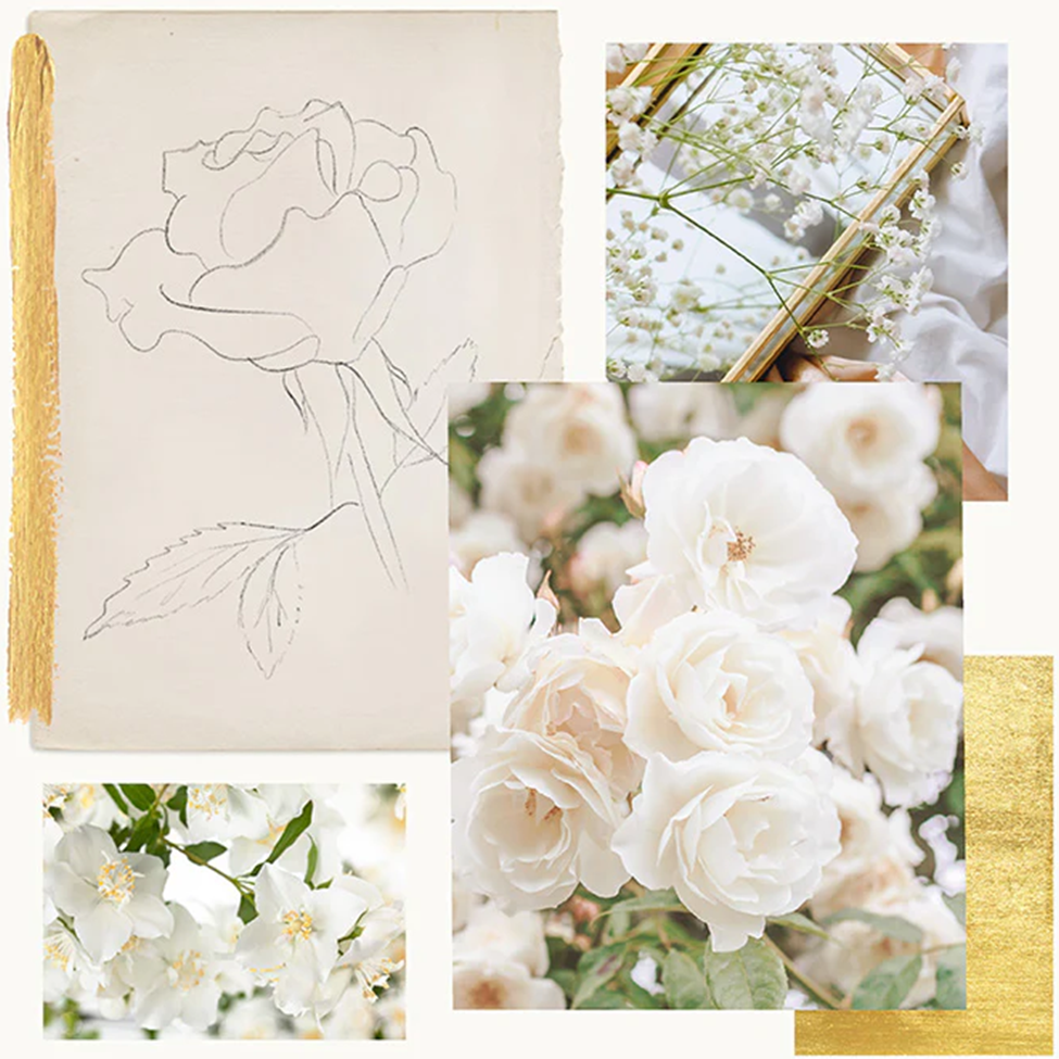 Collage of floral elements including a notebook, floral sketches, and images of white flowers.