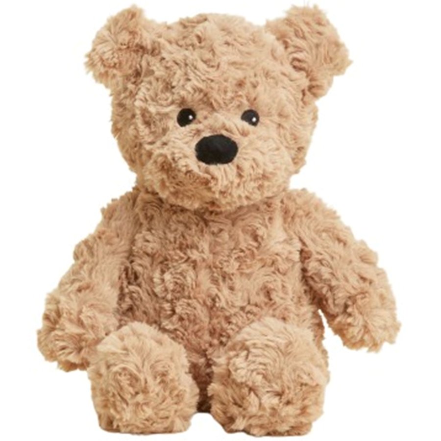 Plush teddy bear on a white background