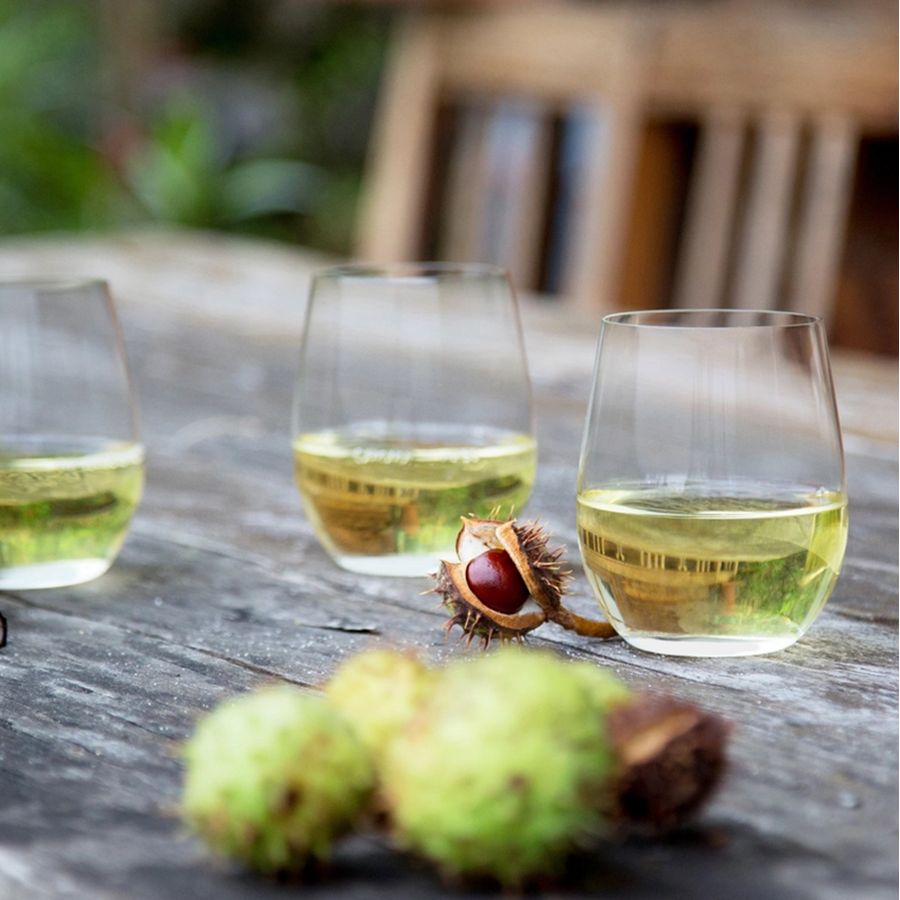 Reidel stemless wine glasses filled with white wine on a wooden table with chestnuts.